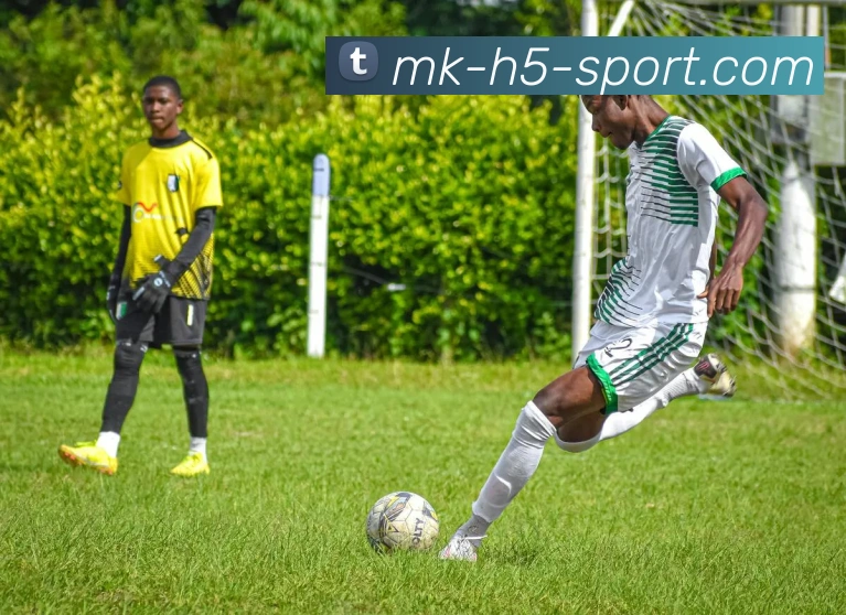 多媒体互动体验